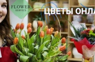 Цветы онлайн