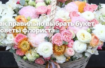 Советы флориста