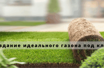 газон под ключ