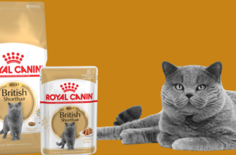 Корма для кошек Royal Canin